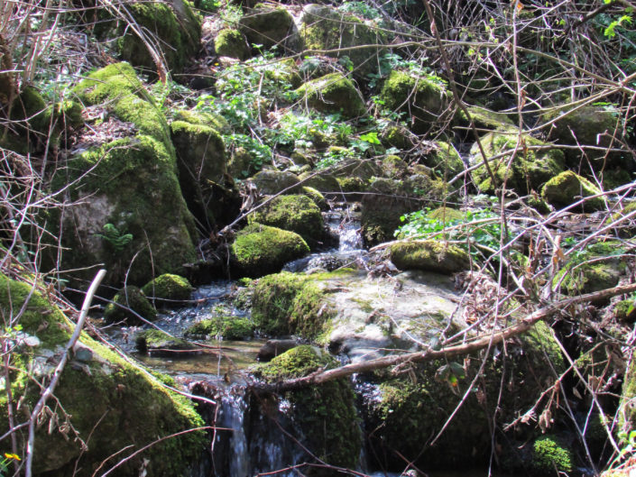 Ruisseau du Moulin Laure