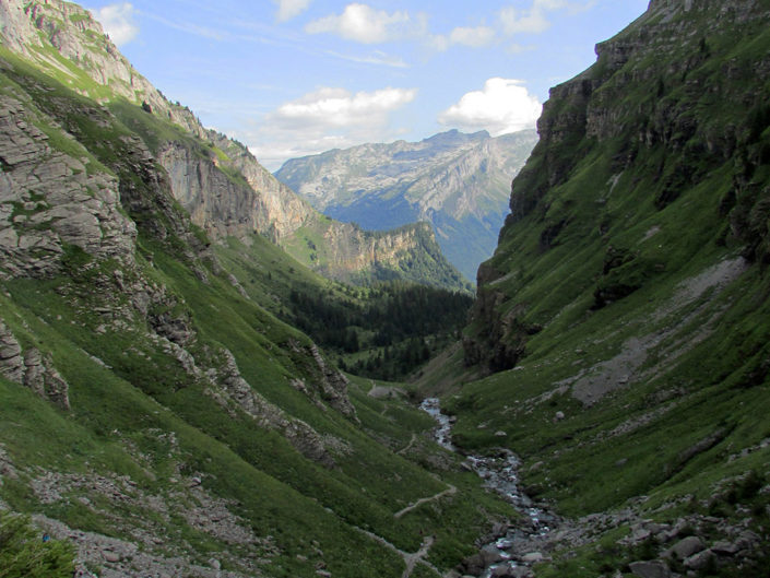 Dans la vallée de Sales