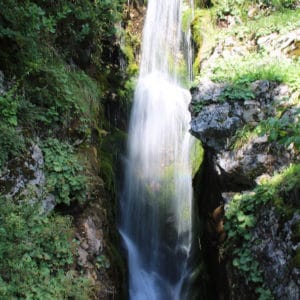 Cascade jardin la Jaÿsinia