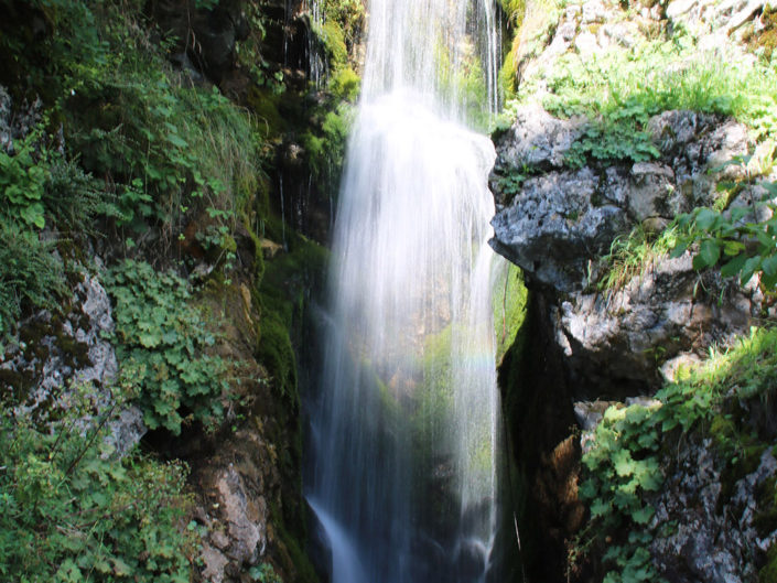 Cascade jardin la Jaÿsinia