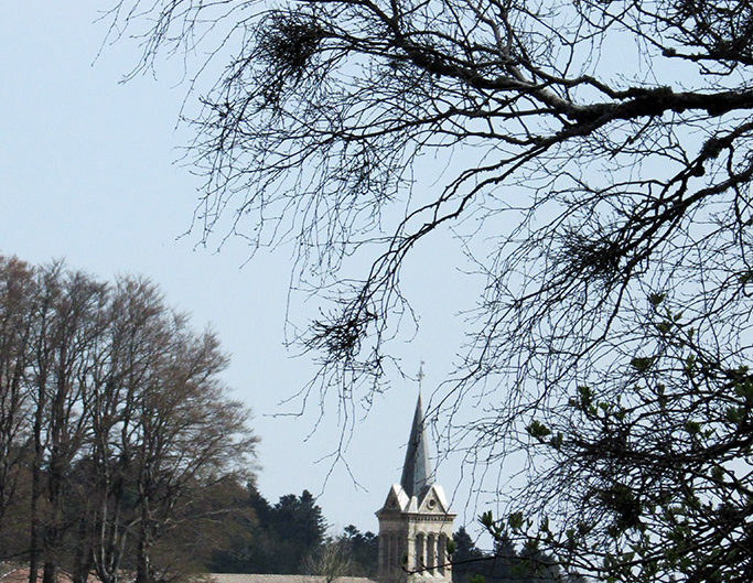 Eglise St André