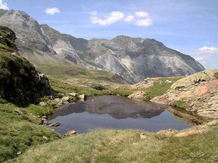 Reflet sur un mini lac