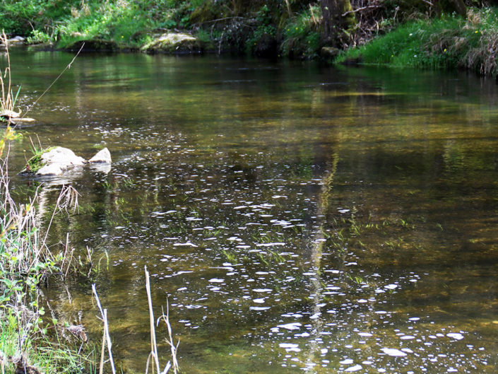 Rivière l'Ay