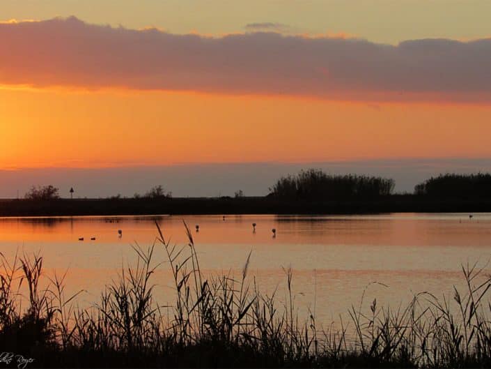 Coucher de soleil à la presqu'île de Giens