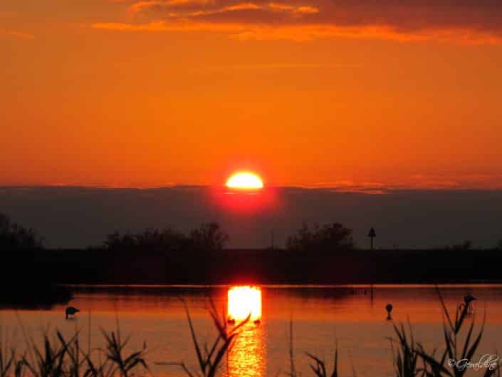 Coucher de soleil à la presqu'île de Giens