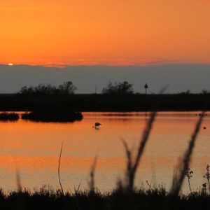 soleil couchant presque disparu à la presqu'île de Giens