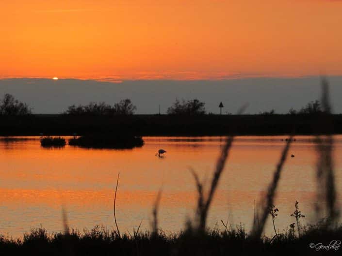 soleil couchant presque disparu à la presqu'île de Giens