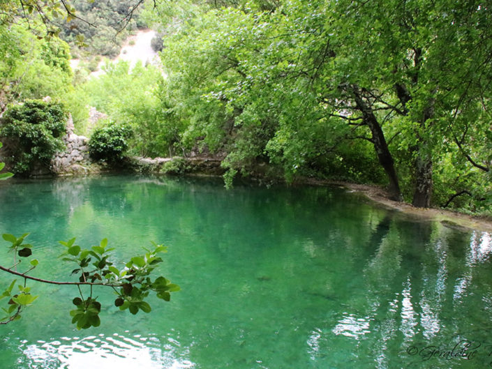 Bassin du moulin du Tiourre