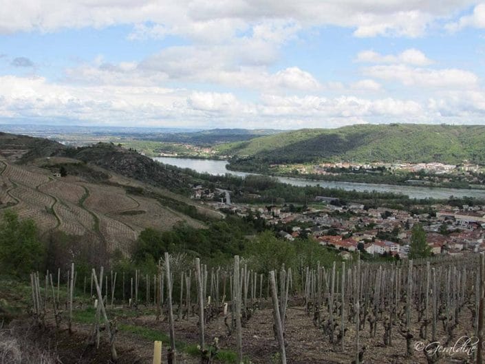 Coteaux St Joseph, le Rhône et Sarras