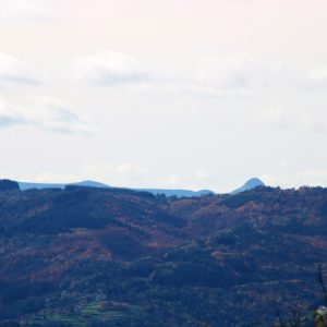 Col du Buisson