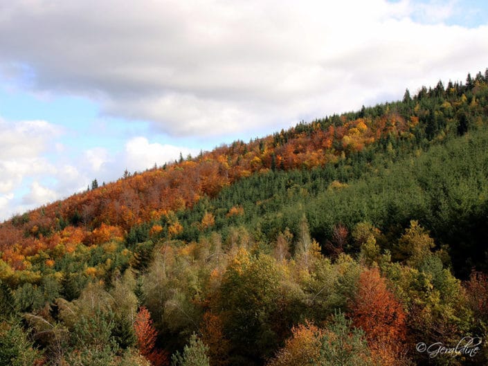 Panaché de couleurs