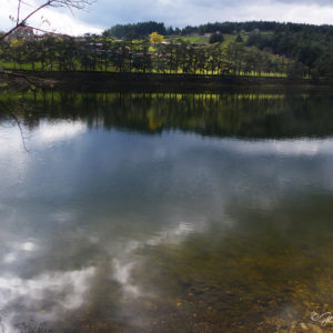 Rive du barrage du Ternay