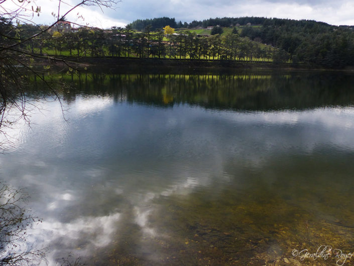 Rive du barrage du Ternay