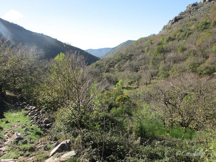Vue dans Le Masoyer Ardèche