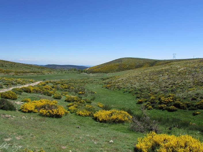 Vue sur le plateau de sablières
