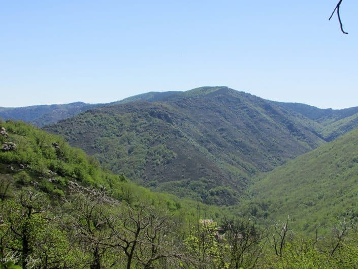 Vallée de la drobie à sablières